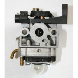 Carburateur adaptable pour...