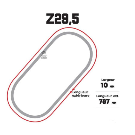 Matijardin Courroie Trapézoïdale Z29,5 Tondeuse - 10 Mm X 787 Mm - Pièce Adaptable Robuste