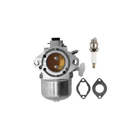 Carburateur complet adaptable BRIGGS & STRATTON
