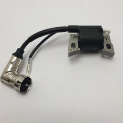 Bobine d'allumage pour...