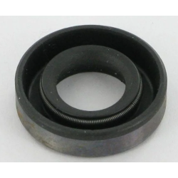 Joint spi Briggs et...