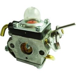 Carburateur adaptable pour...