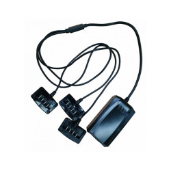 Chargeur RAPIDE Blue Bird 21V