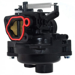 Carburateur adaptable pour...